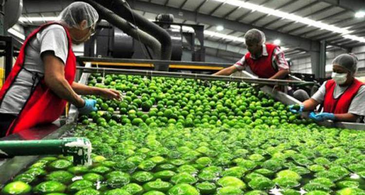 Agroindustria